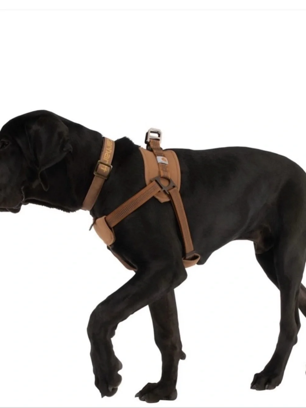 Carhartt dog harness nylon duck training